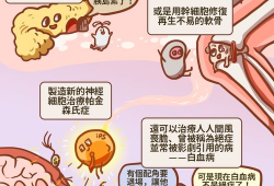 细胞漫画,微观世界的奇妙之旅