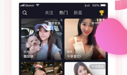 91在线直播吗,揭秘热门直播平台的魅力与挑战