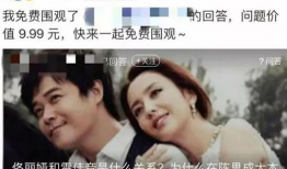 光遇吃瓜娱乐圈小说,瓜田李下，娱乐圈的甜蜜风暴